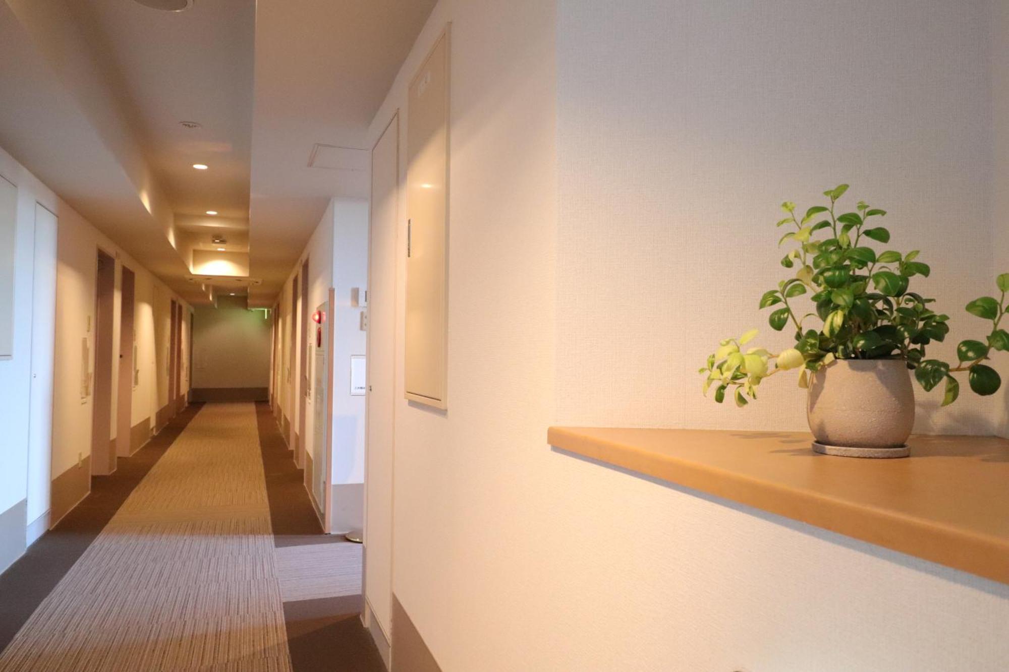 Silk Hotel Annex 飯田町 エクステリア 写真